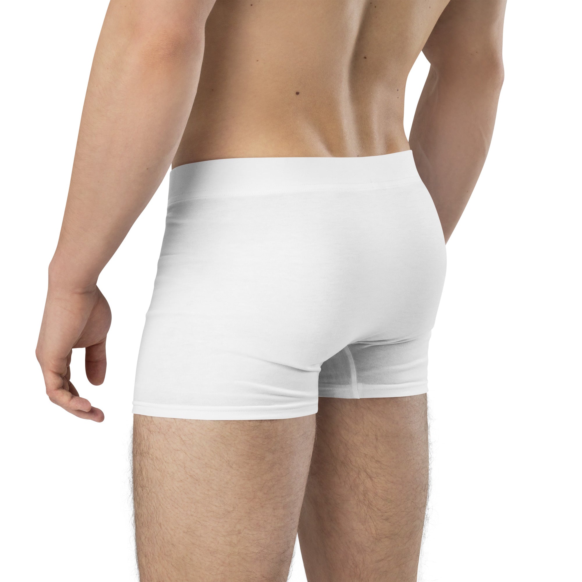 Chris McGrath's Champion Dad collection.  White boxer briefs worn by a person on a white background