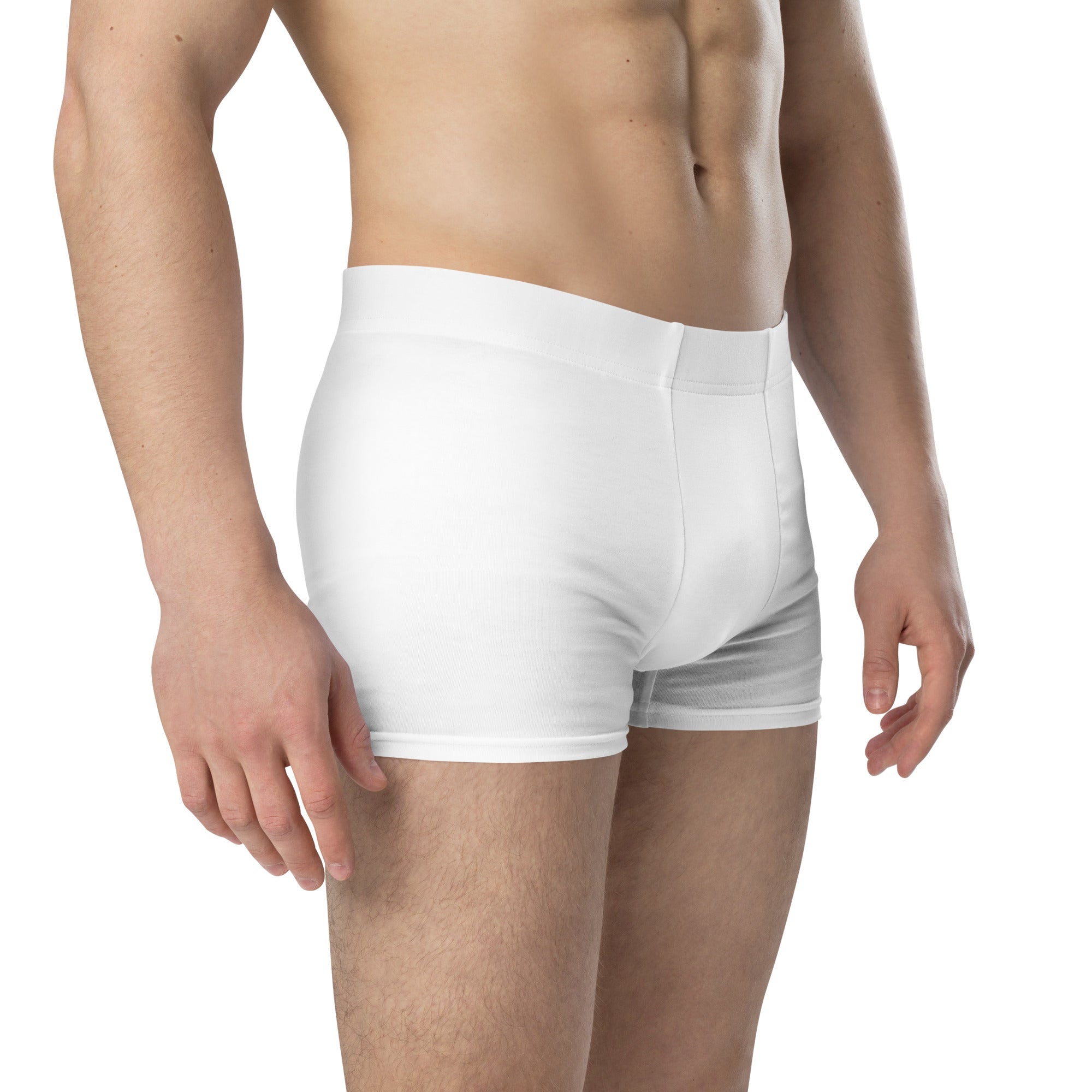 Chris McGrath's Champion Dad collection.  White boxer briefs worn by a person on a white background